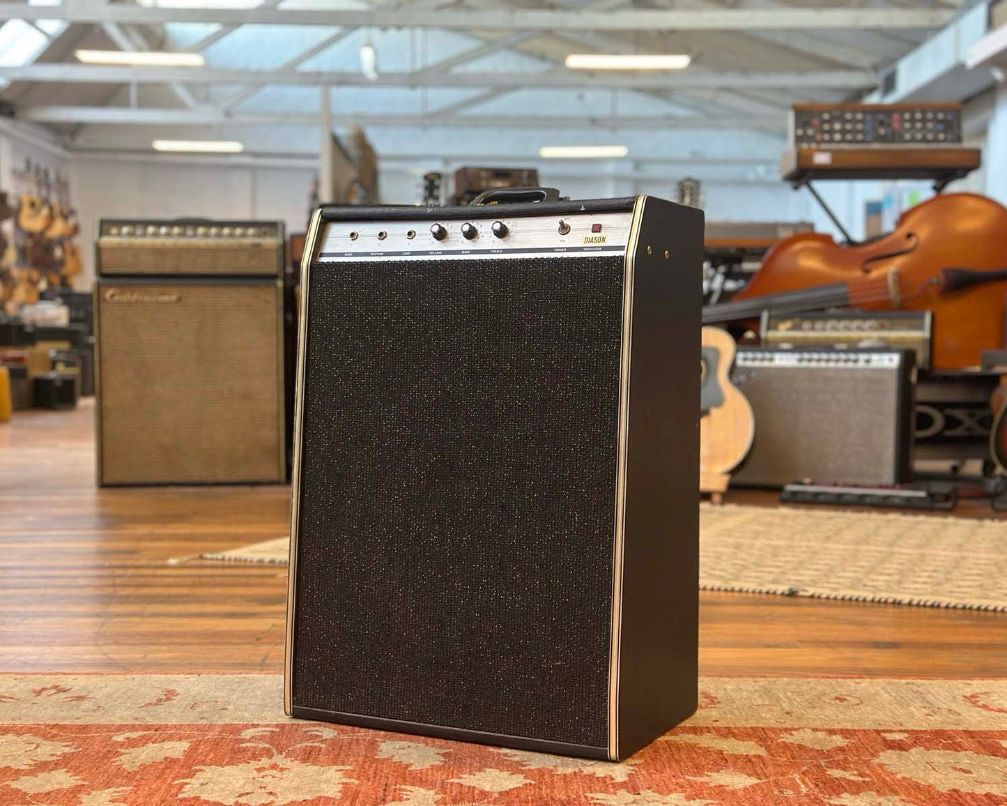 Diason Tallboy 1x12" Solid State Guitar Amplifier