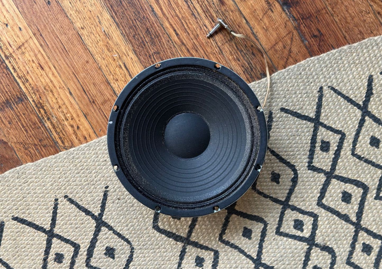 VOX VX10 10" Speaker