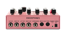 Load image into Gallery viewer, Endorphin.es Evil Pet Polyphonic Synthesizer
