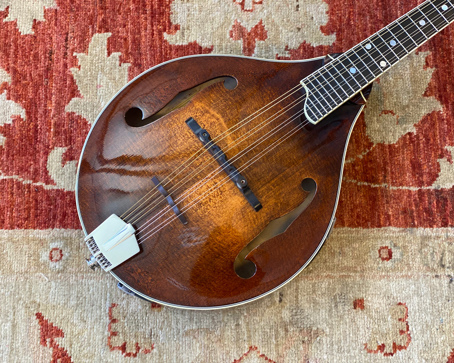Eastman Mandolin MD-505 – Found Sound