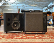 Load image into Gallery viewer, Electro-Voice Sentry 500  (Pair)
