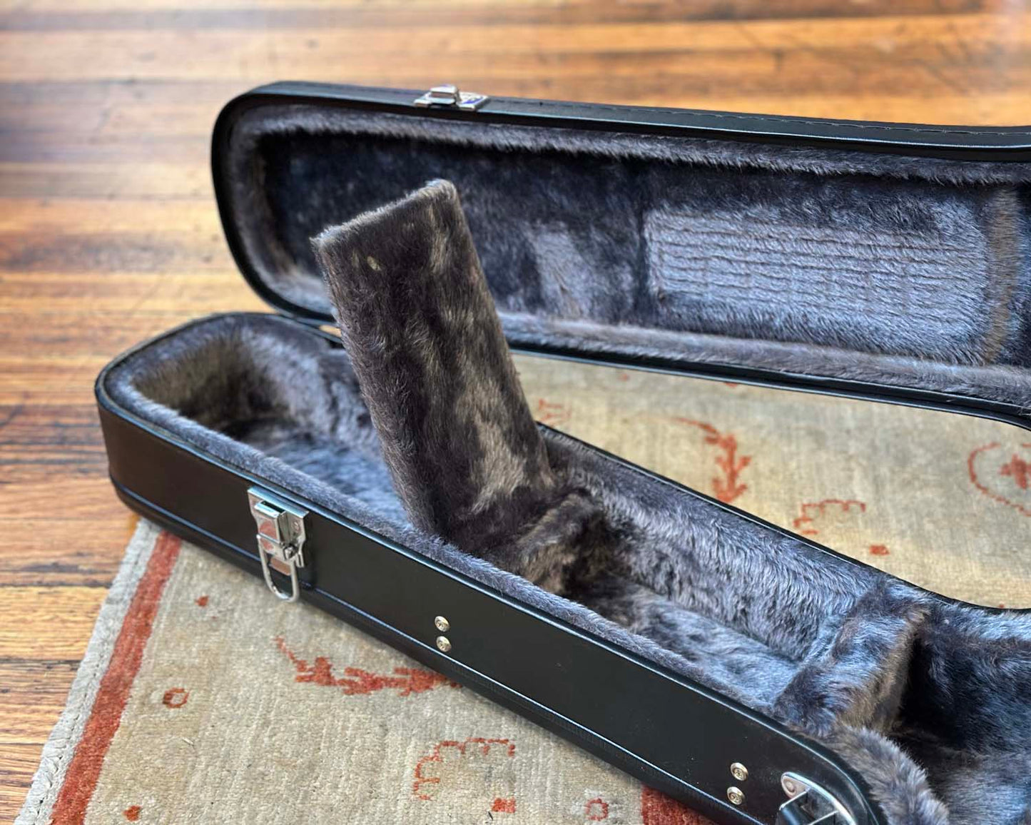 Epiphone Les Paul Case