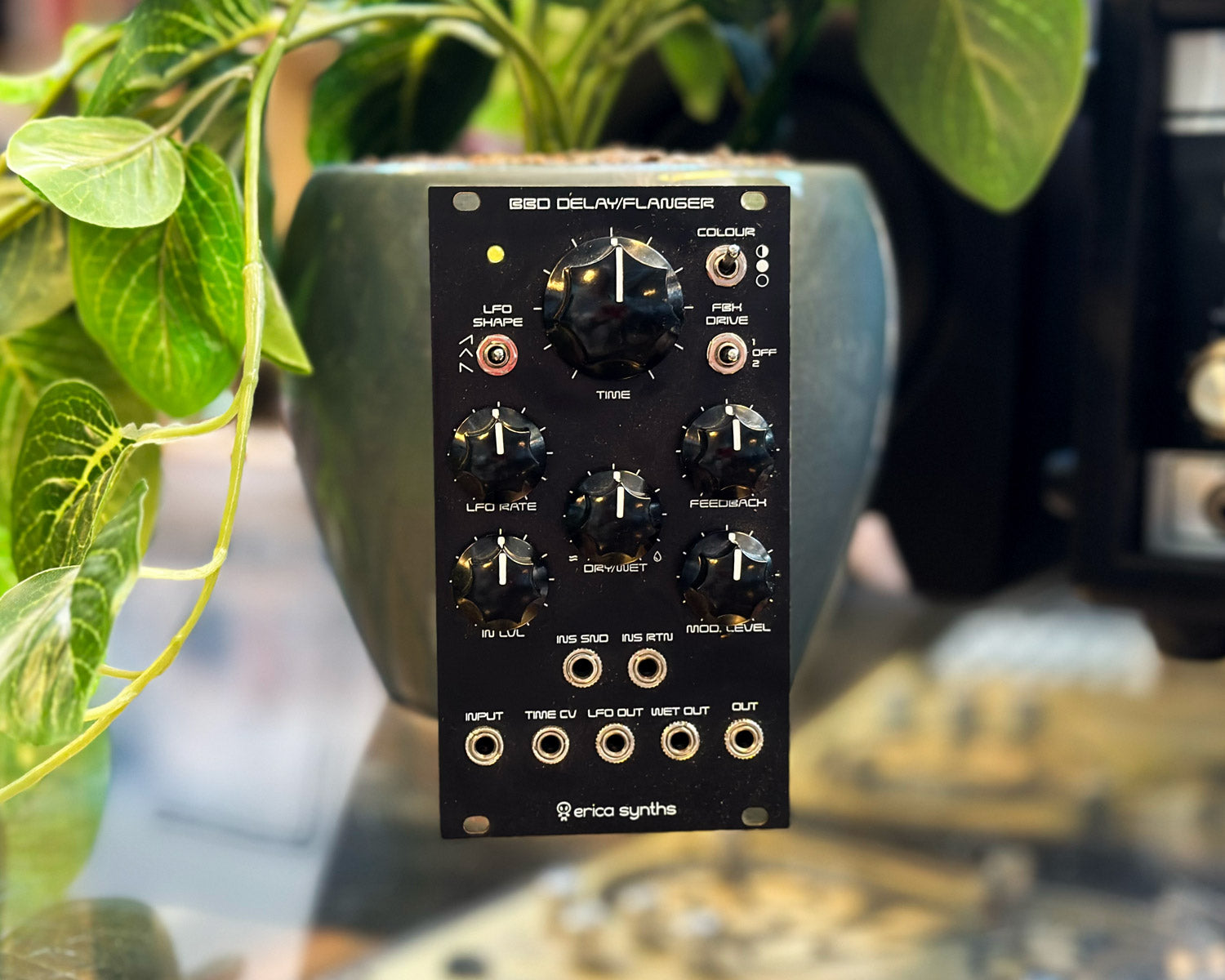 Erica Synths DIY BBD Delay - Assembled – Found Sound