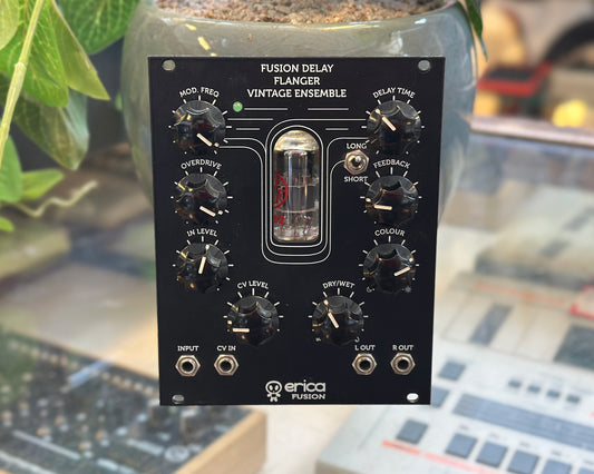 Erica Synths Fusion Delay/Flanger/Vintage Ensemble
