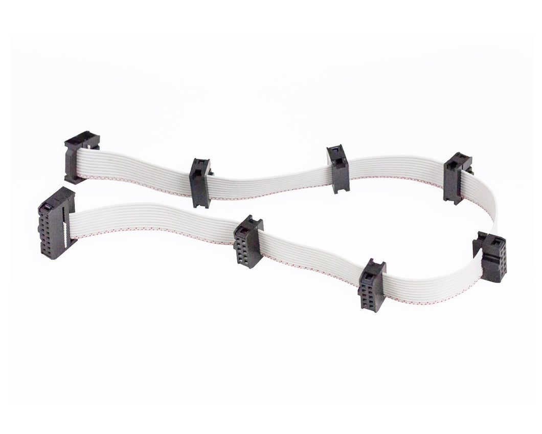 Erica Synths Pico System Flying Bus Cable