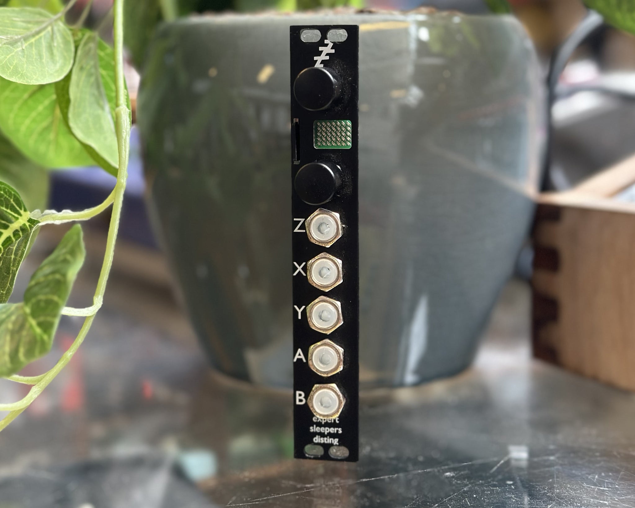 Expert Sleepers Disting MK4 Multi-function Eurorack Module – Found Sound