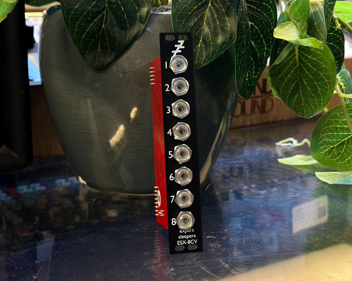 Expert Sleepers ESX-8CV MkII CV Expander