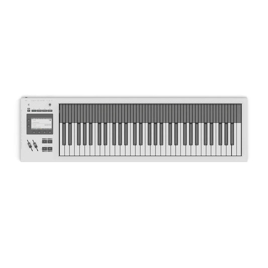 Expressive E Osmose 61 CE Expressive MPE MIDI Controller