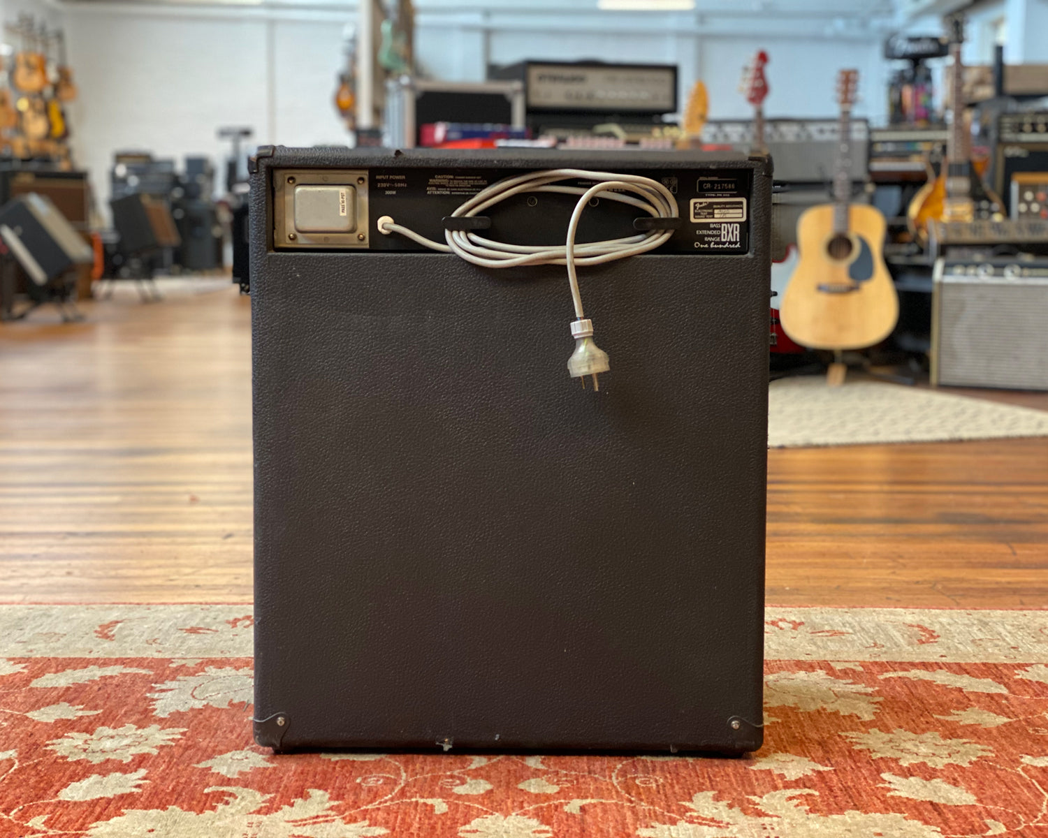 Fender BXR 100 – Found Sound