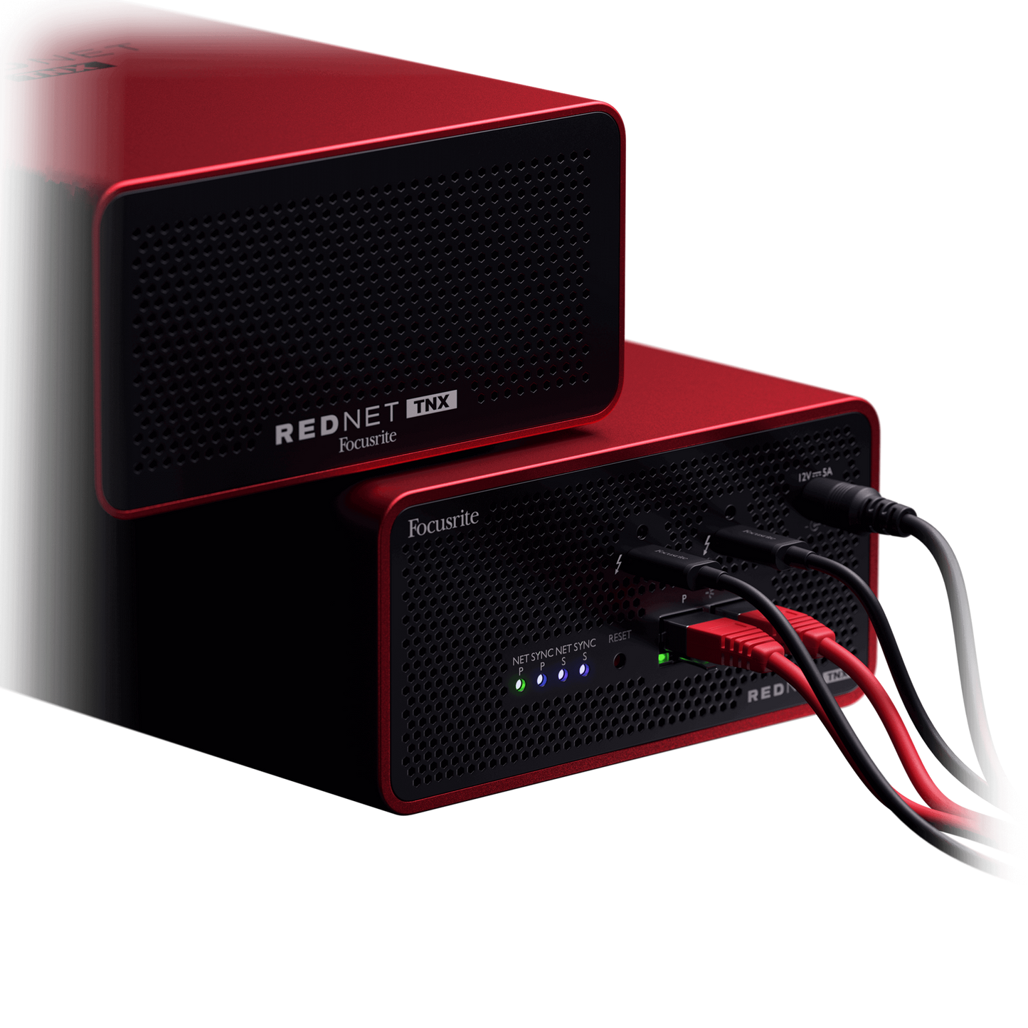 Focusrite RedNet TNX