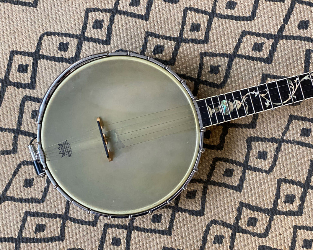 Gold tone new arrivals wl 250 banjo