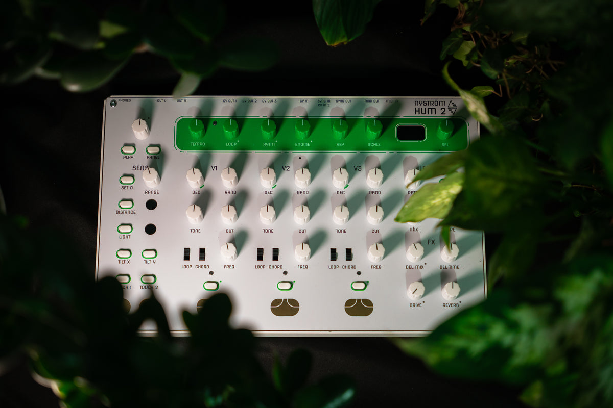 Nystrom Hum 2