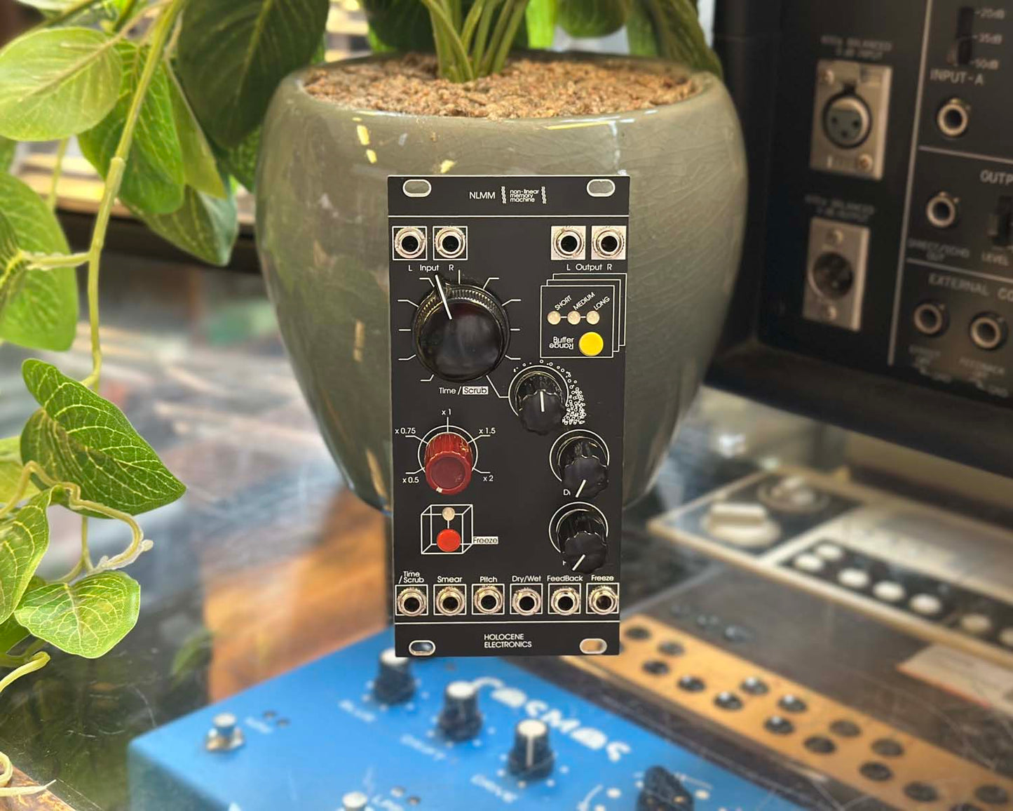 Holocene Electronics Non-Linear Memory Machine Eurorack Module