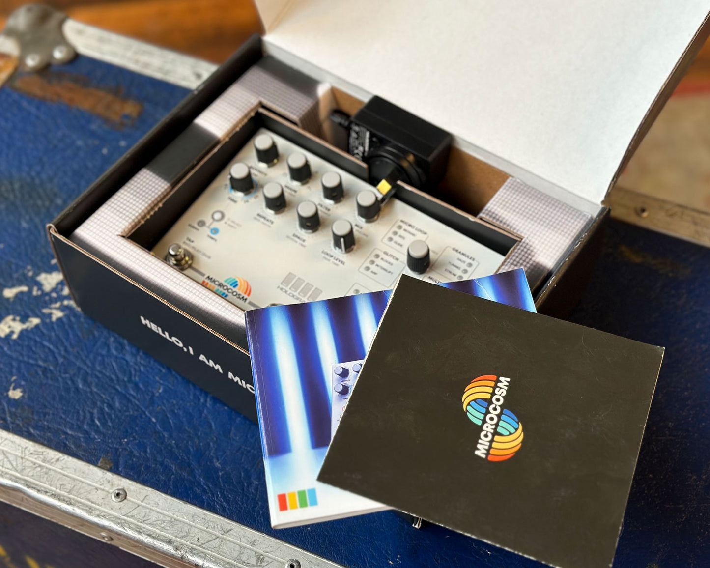 Hologram Electronics Microcosm Micro-Looper