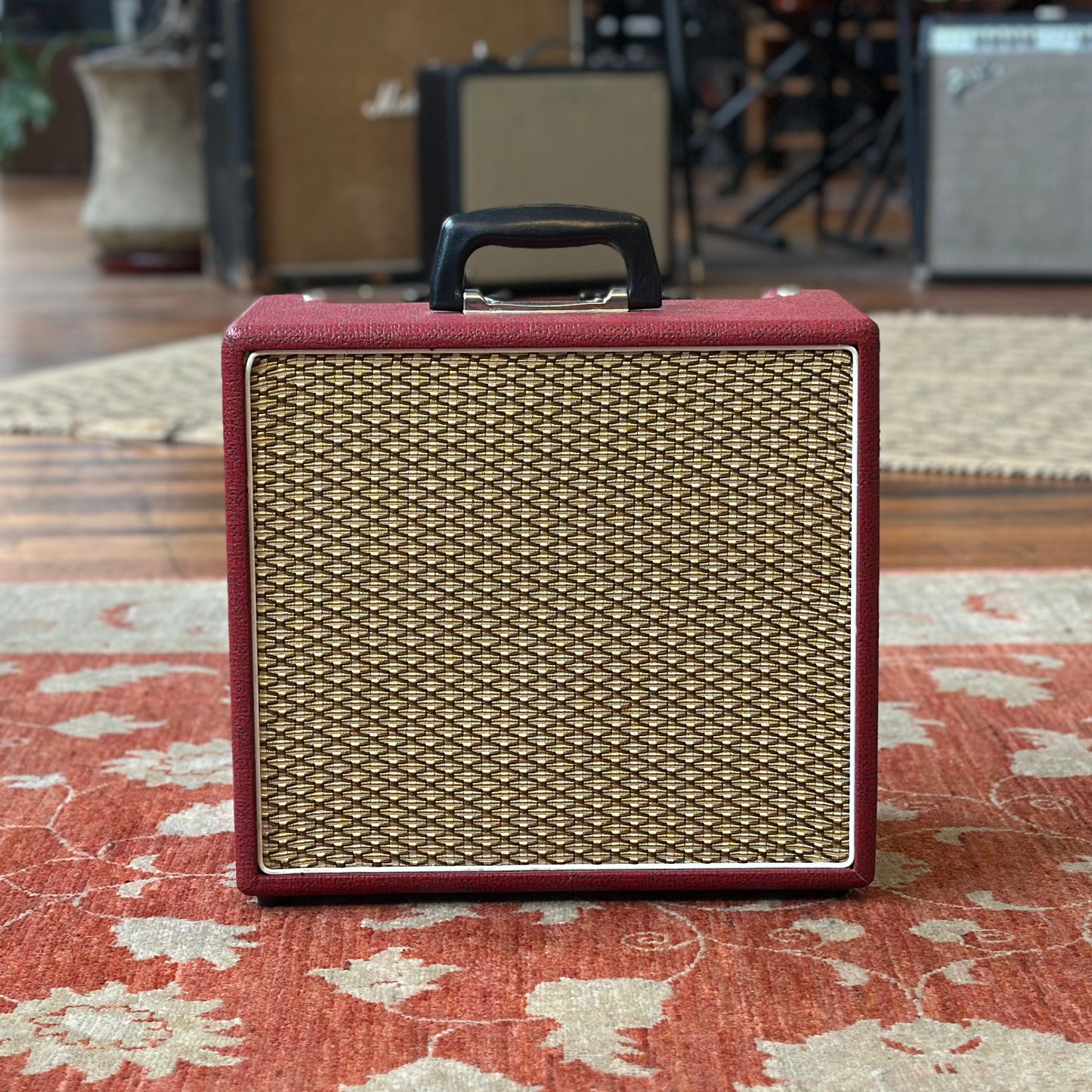 NOS Rex AG6T Mascot 6 Watt 1x12" Valve Guitar Amplifier