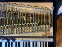 Load image into Gallery viewer, &#39;75 Fender Rhodes Piano Bass
