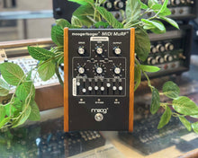 Load image into Gallery viewer, Moog Moogerfooger MF-105M Murf
