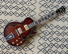 Load image into Gallery viewer, Ibanez AG95
