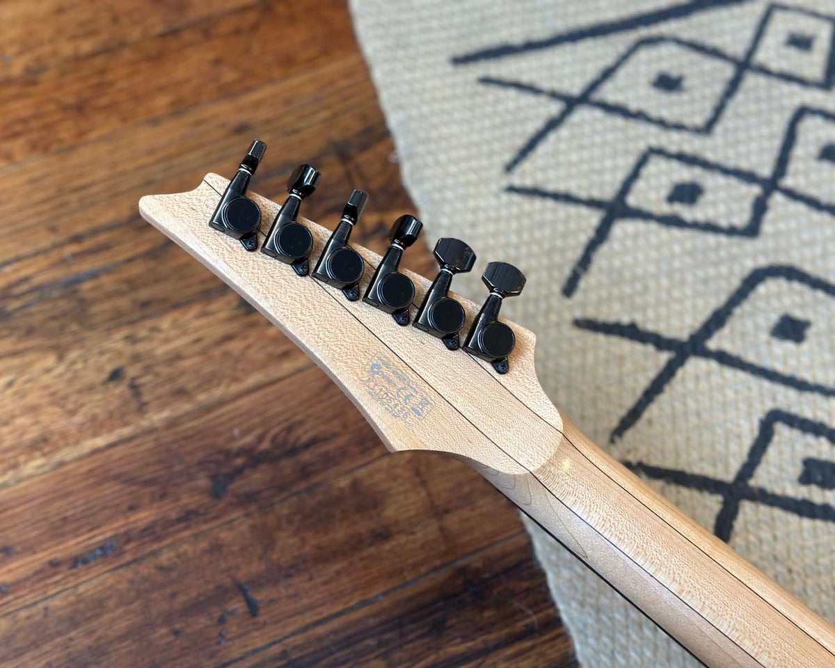 Ibanez RGA220Z Prestige