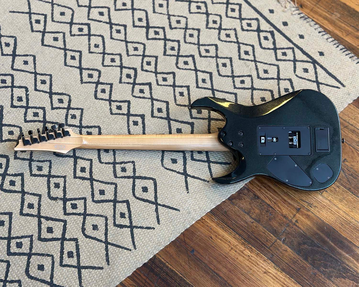 Ibanez RGA220Z Prestige