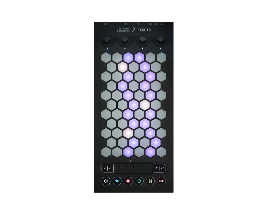 Intuitive Instruments Exquis Pure
