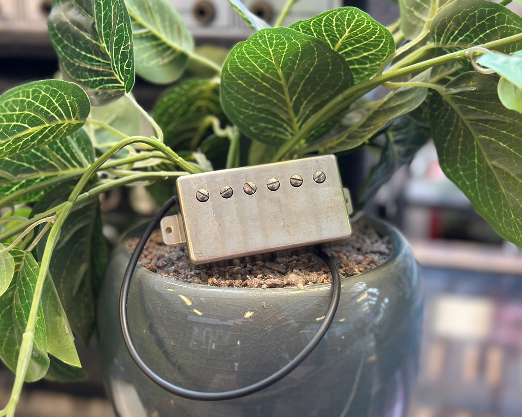 Lambertones The Crema - Bridge Pickup