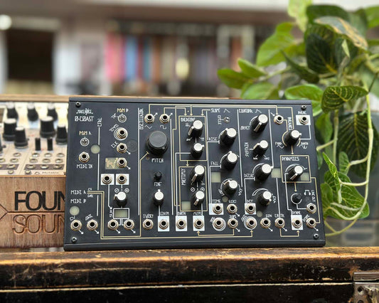 Make Noise 0-Coast Patchable Synthesizer