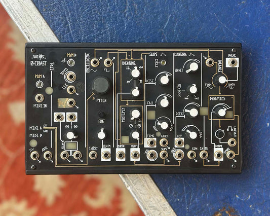 Make Noise 0-Coast Patchable Synthesizer