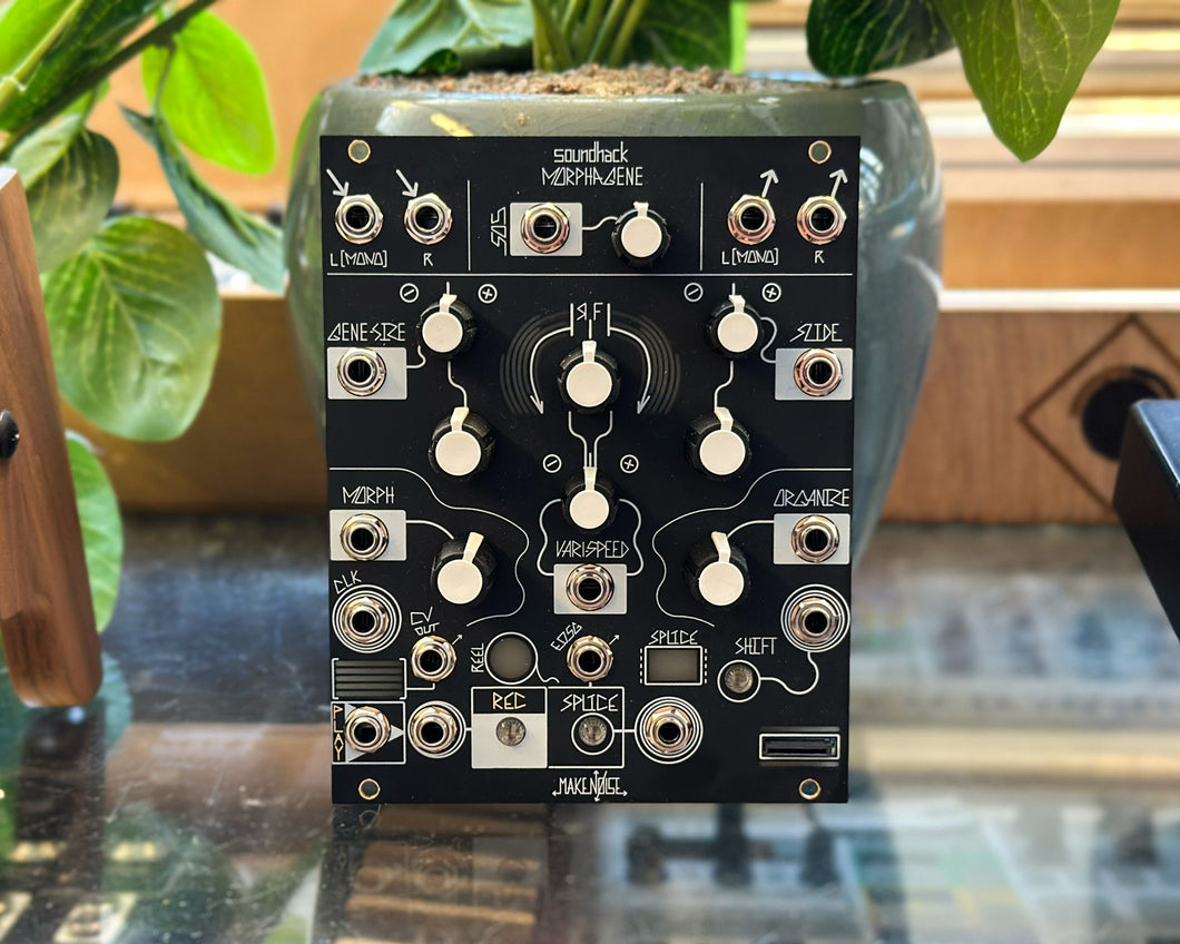 Make Noise Morphagene