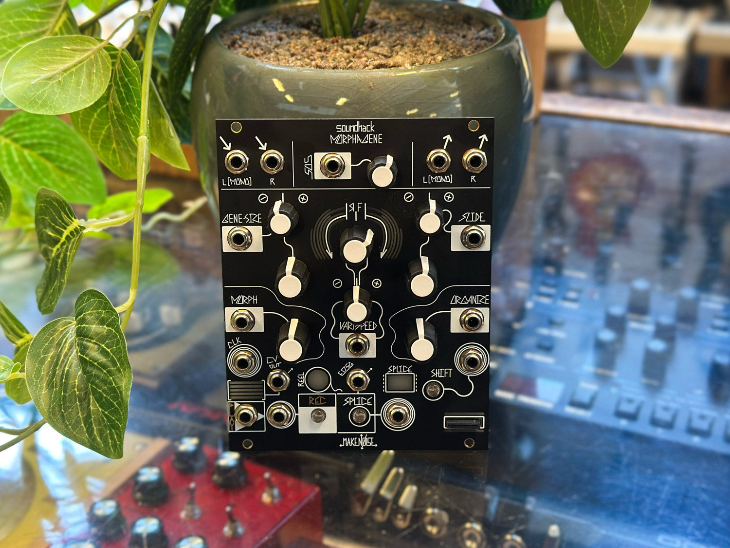 Make Noise Morphagene モジュラーシンセ Make Noise Morphagene