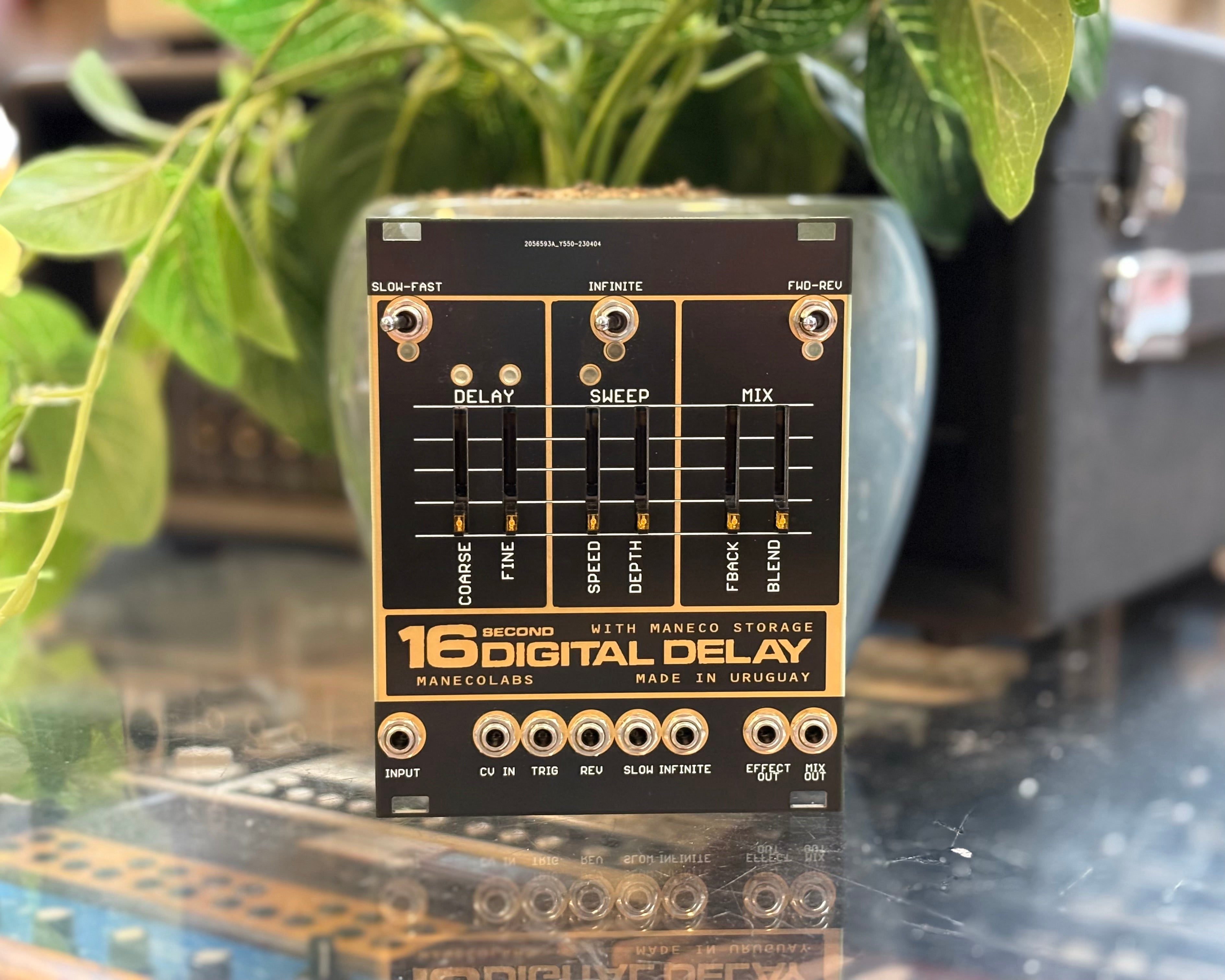 Maneco Labs 16 Second Digital Delay Eurorack Module – Found Sound
