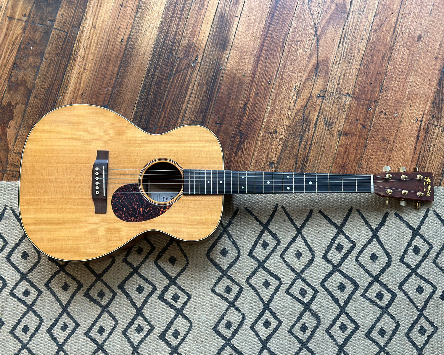 Martin SWOMGT Sustainable Wood Series w/ OHSC – Found Sound