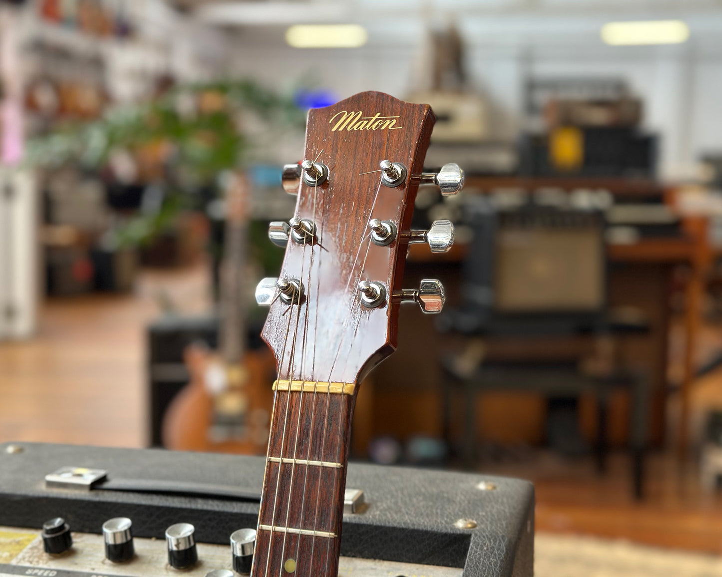Maton Apollo 505 Gold Top Thinline Hollow Body Electric - Refin