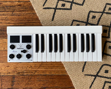 Load image into Gallery viewer, Mellotron M4000D Micro
