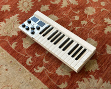 Load image into Gallery viewer, Mellotron M4000D Micro
