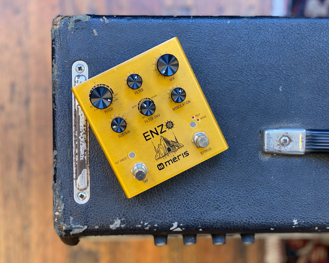 Meris Enzo Multi-Voice Synthesizer Pedal