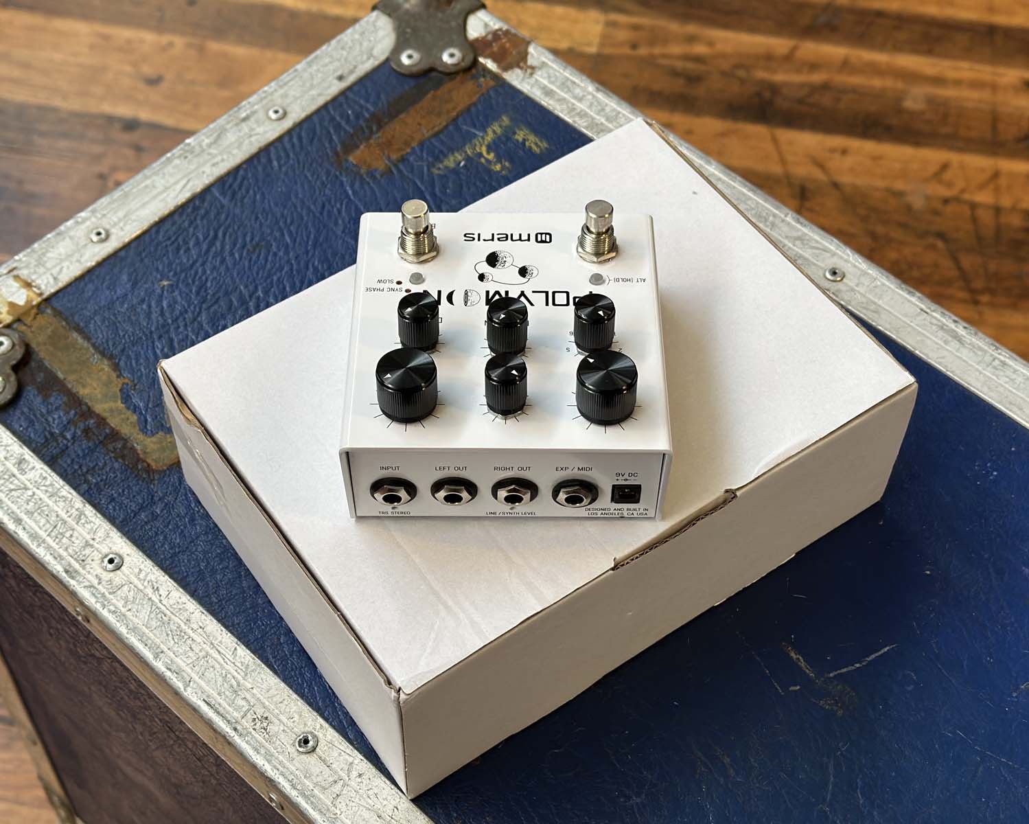 Meris Polymoon Super-Modulated Multi-Tap Delay – Found Sound