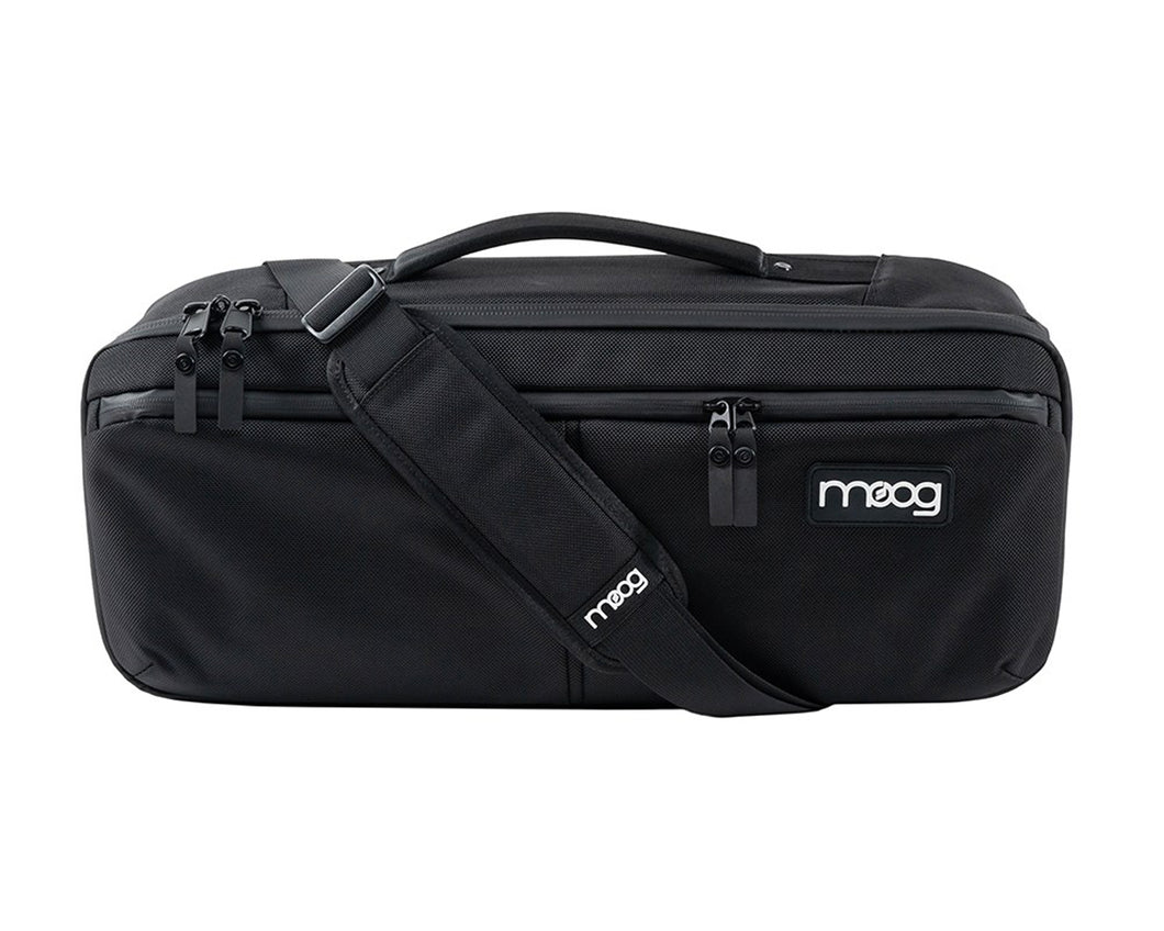 Moog Etherwave Theremin SR Case