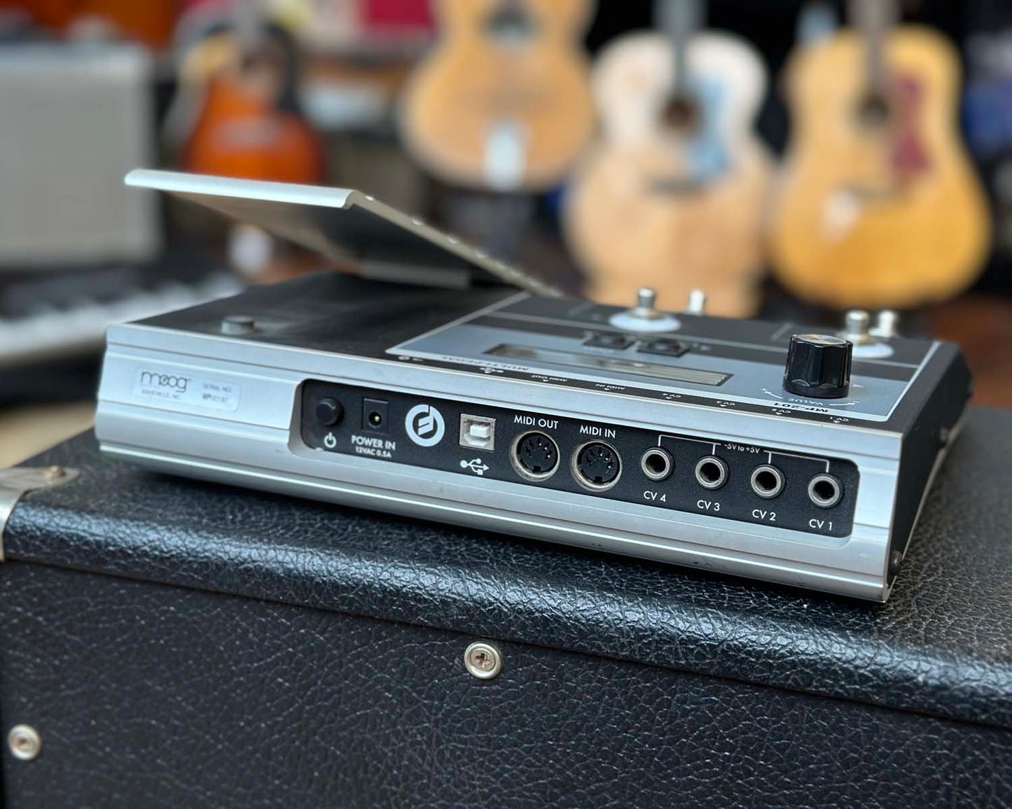 Moog MP-201 Multi-Pedal