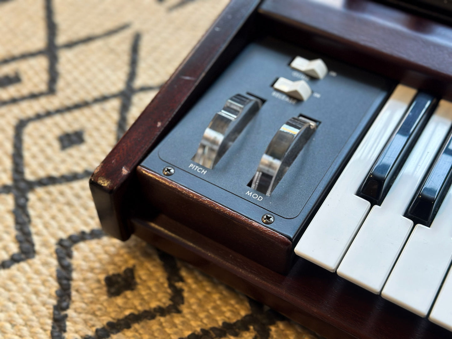 Moog Minimoog Voyager Select Series