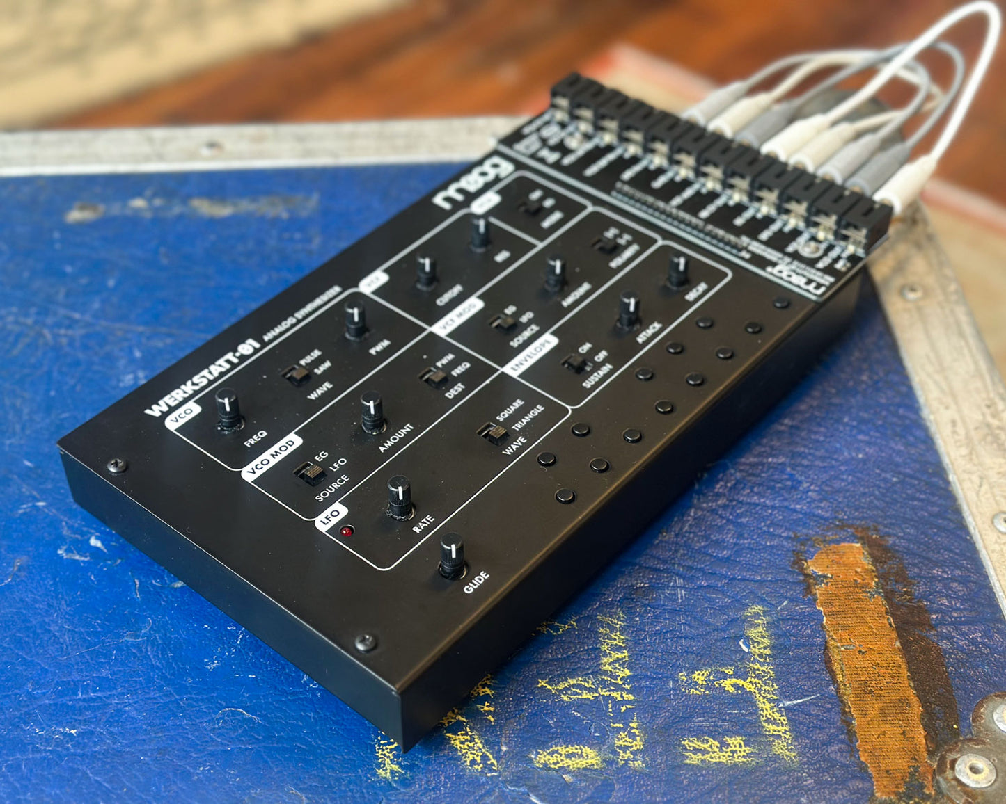 Moog Werkstatt-01 + CV Expander