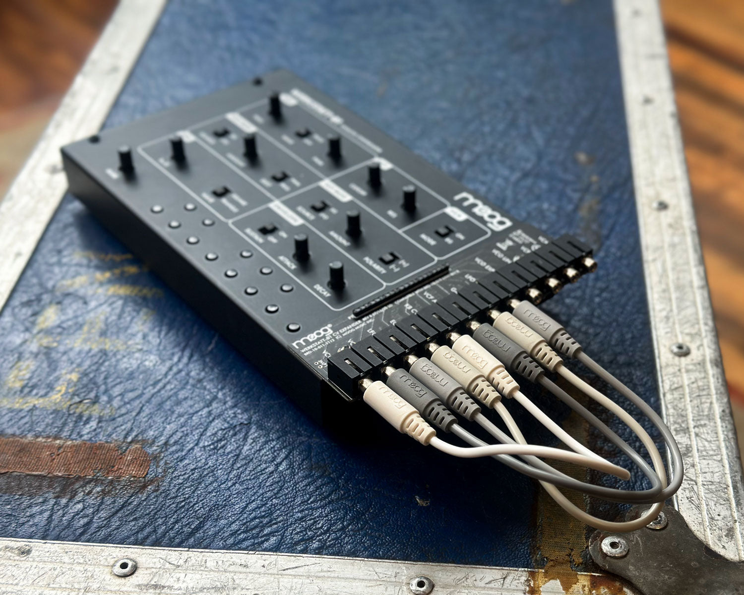 Moog Werkstatt-01 + CV Expander – Found Sound