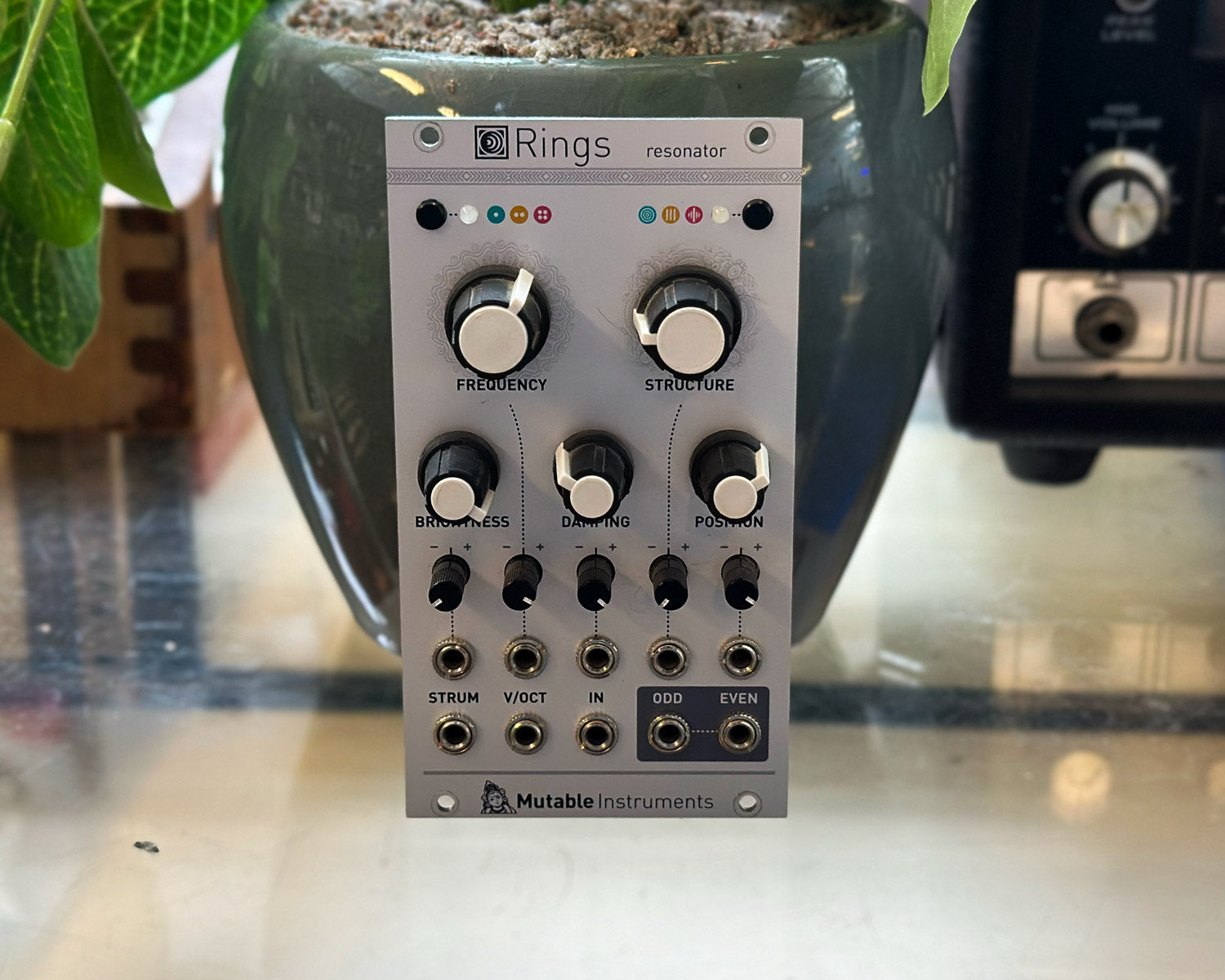 Mutable Instruments Rings Eurorack Resonator – Found Sound