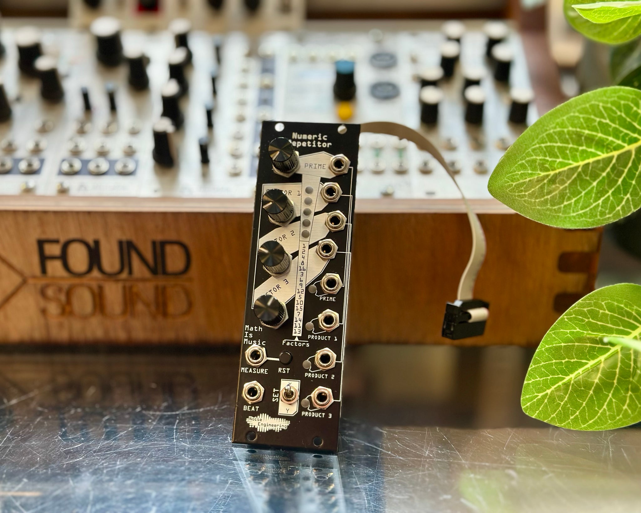 Noise Engineering Numeric Repetitor - Black – Found Sound