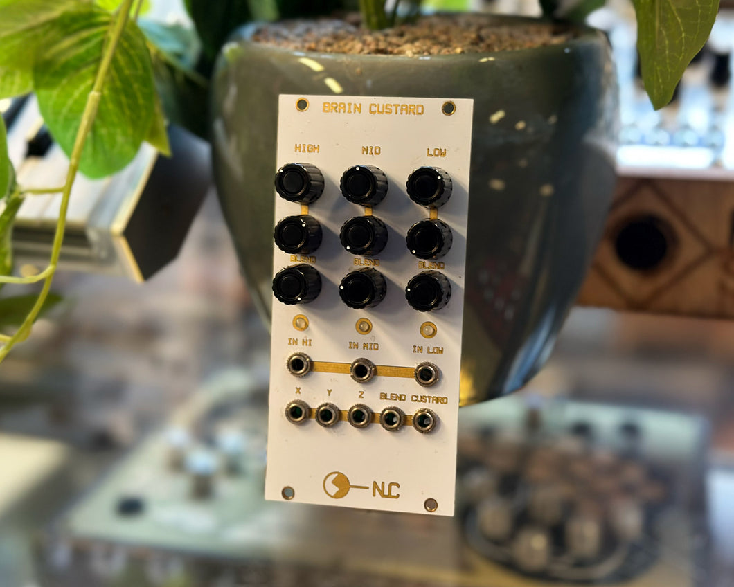Nonlinear Circuits Brain Custard Eurorack Module