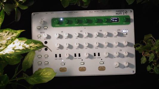 Nystrom Hum 2