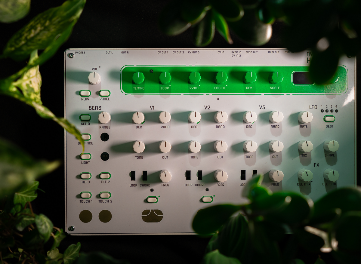Nystrom Hum 2