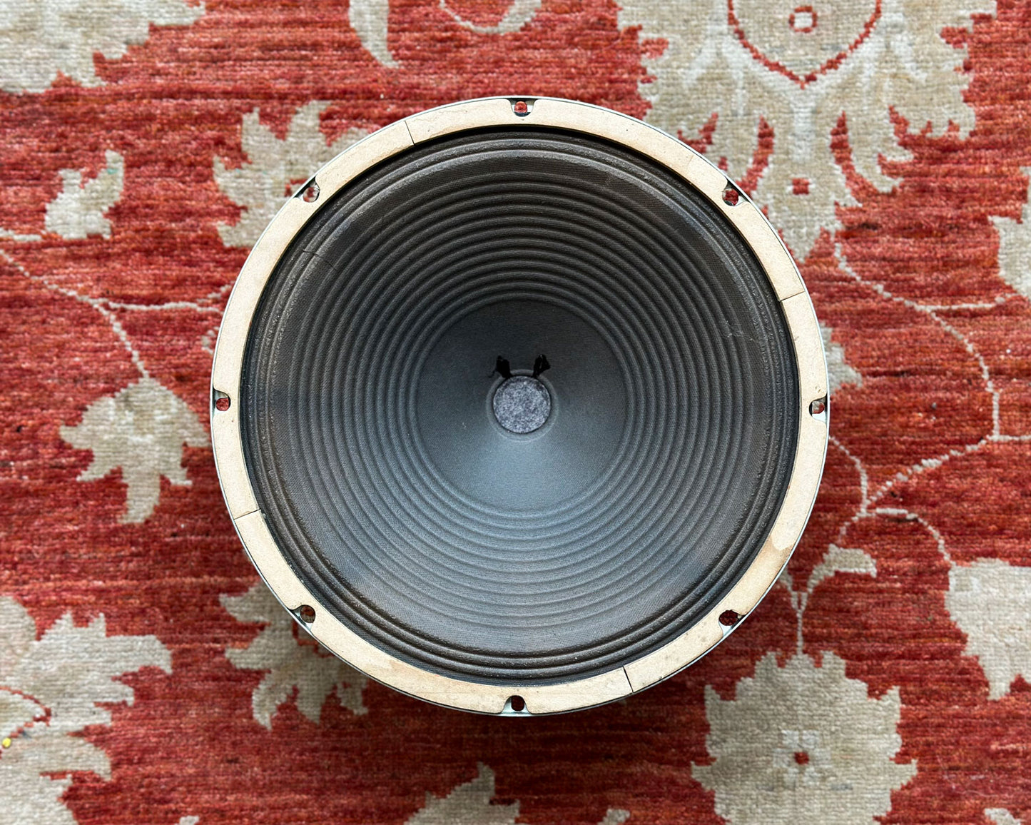 Oxford 12" Speaker