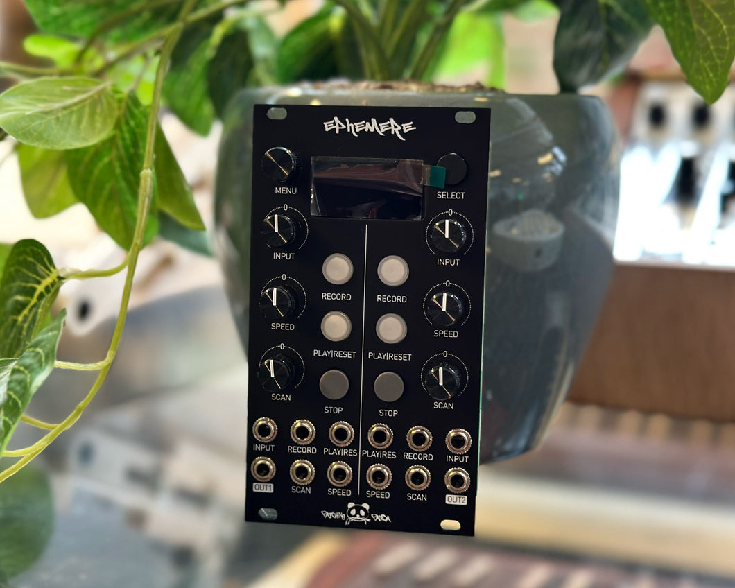 Patching Panda Ephemere CV Looper Interface