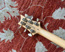 Load image into Gallery viewer, Paul Reed Smith SE NF53
